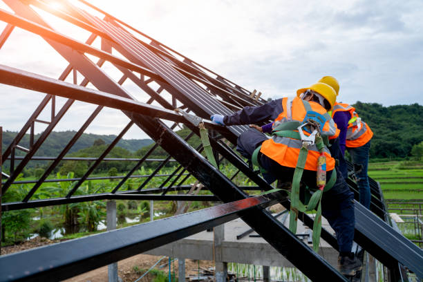 Best Local Roofing Companies  in Kirbyville, TX