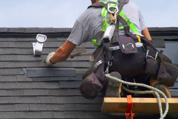 Best Roof Gutter Cleaning  in Kirbyville, TX